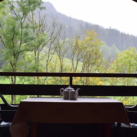 Cosy Avec Balcon Sud, Proche Pistes Ski, Animaux Admis, Parking Prive, Draps Inclus - Fr-1-467-113 Apartment *